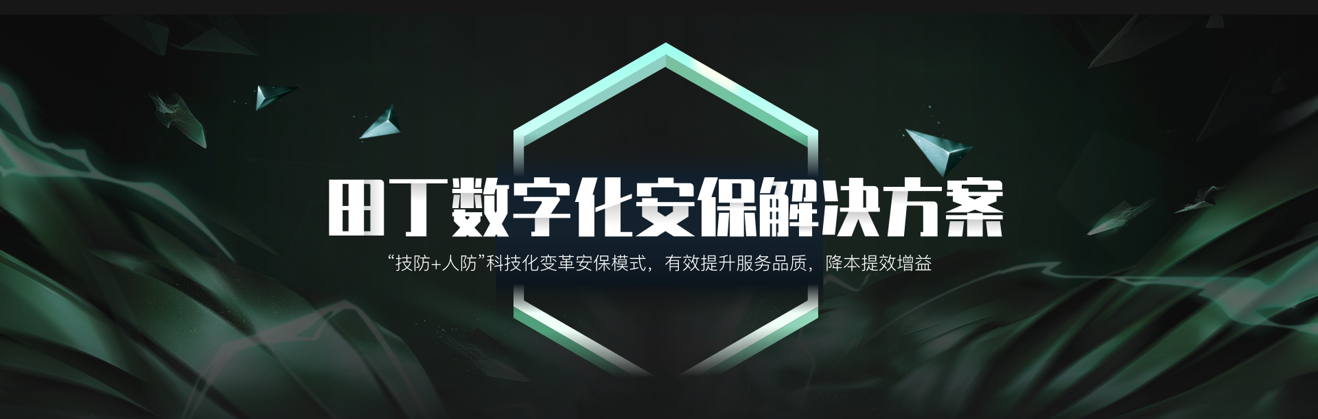 数字化安保解决方案